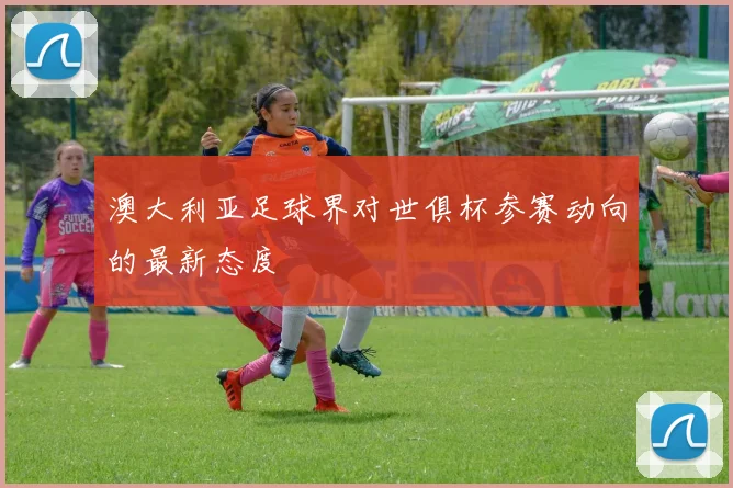 澳大利亚足球界对世俱杯参赛动向的最新态度